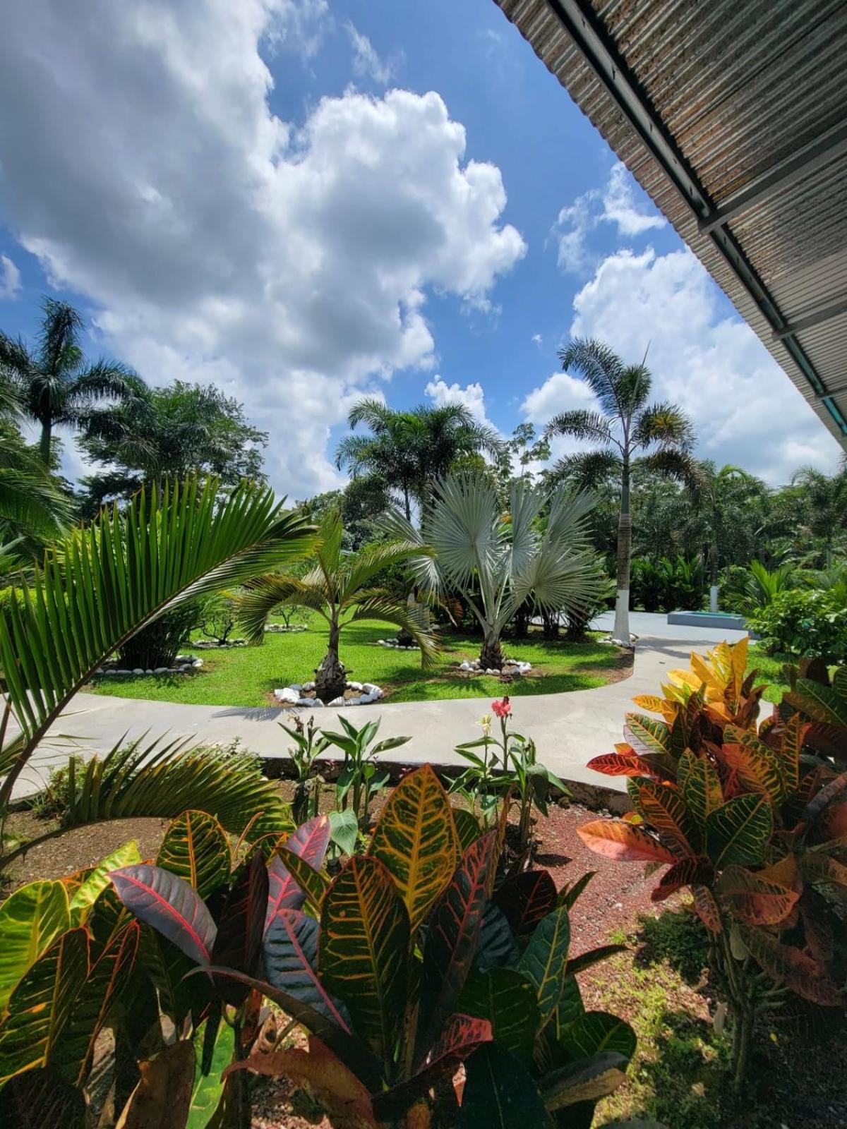 Hotel Campestre Arenal La Fortuna Extérieur photo